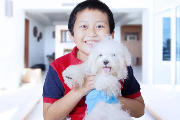 Piccolo ragazzo che abbraccia il cane maltese a casa — Foto Stock