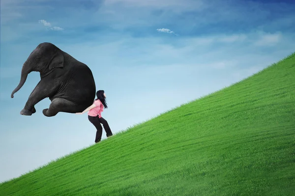 Woman carrying elephant on the hill — Stock Photo, Image