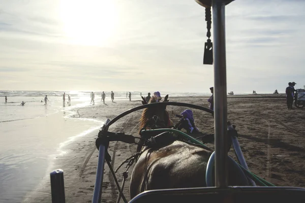 Конный экипаж и люди на пляже — стоковое фото