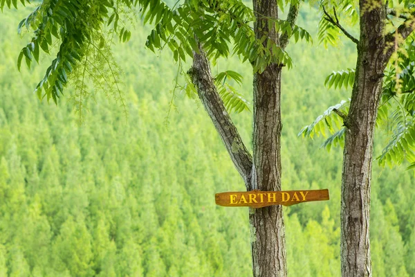 Árvore com texto do Dia da Terra — Fotografia de Stock