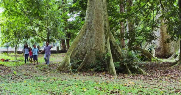 Asiatiska familjen gå runt trädet — Stockvideo