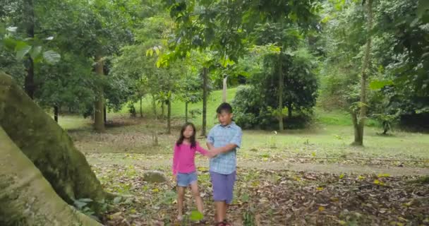 Niño y su hermana caminando alrededor del árbol — Vídeos de Stock