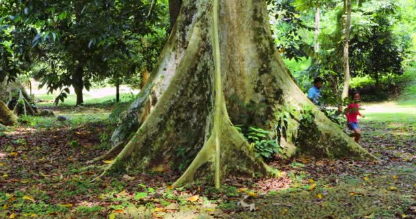 Bambini felici che giocano intorno all'albero — Video Stock