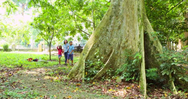 Madre y sus hijos caminando alrededor del árbol — Vídeos de Stock