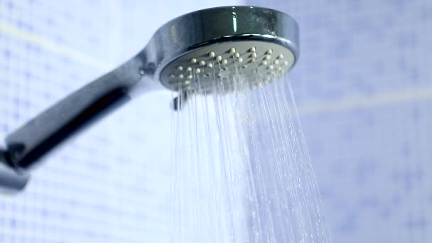 Kepala mandi dengan air yang mengalir — Stok Video