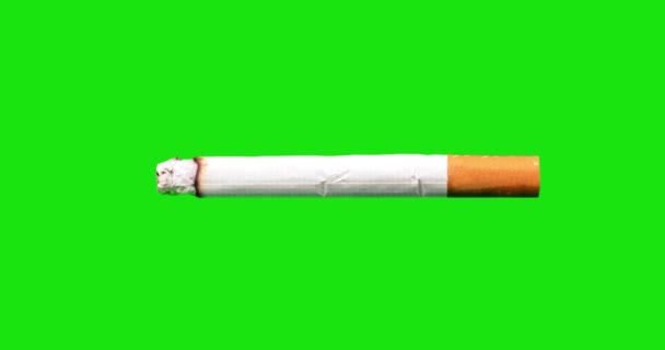 Burning cigarette with green screen background — Stock Video