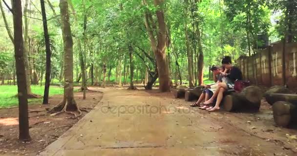 숲에서 가족 독서 책 — 비디오