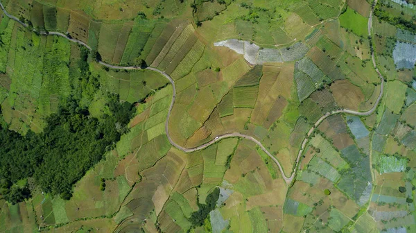 Granja colina con sistema de terrazas — Foto de Stock