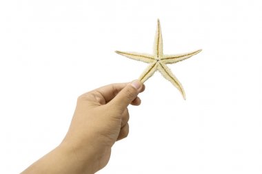 Deniz yıldızı erkek el tutar