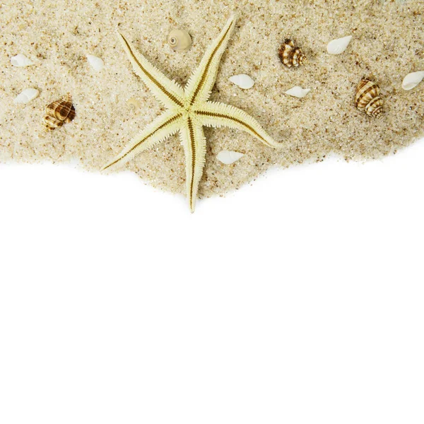 Conchas do mar e estrelas do mar na areia — Fotografia de Stock