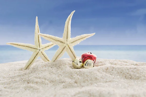 Морские звезды и рождественские колокола на пляже — стоковое фото