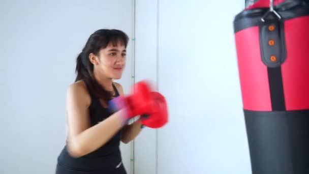 Hermosa mujer haciendo ejercicio de boxeo — Vídeos de Stock