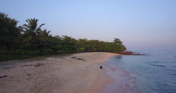 Vista de aves de playa tropical — Vídeo de stock