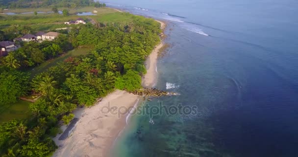 Пляж з кокосовими деревами і блакитною водою — стокове відео