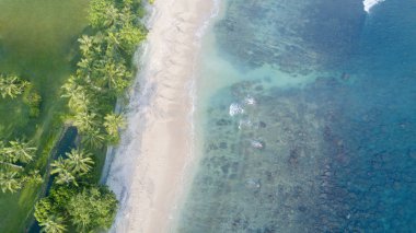 güzel tropikal plaj beyaz kum ile