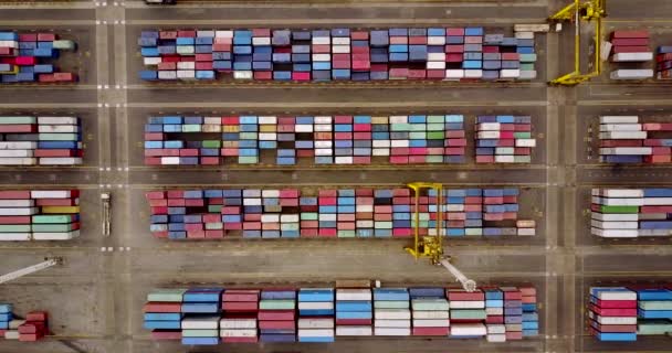 Kontainer kargo di pelabuhan Tanjung Priok — Stok Video