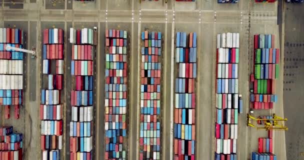Container im Handelshafen — Stockvideo