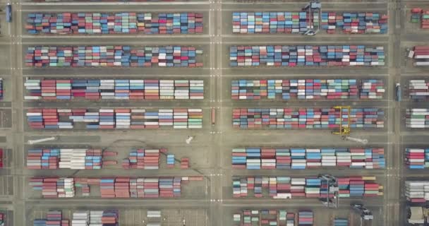 工业港集装箱码头 — 图库视频影像