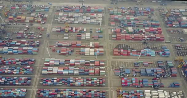 Puerto industrial lleno de contenedores — Vídeo de stock