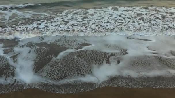 Vague douce sur la plage de sable fin — Video