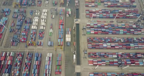 Contenedores apilados en terminal portuaria — Vídeo de stock