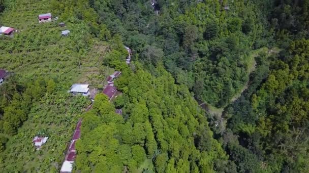 Antennenlandschaft mit Tropenwald und Wasserfall — Stockvideo