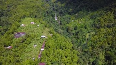Gitgit şelale, tropikal orman havadan görünümü