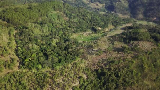 Légi táj videó hill Yogyakarta Mangunan — Stock videók