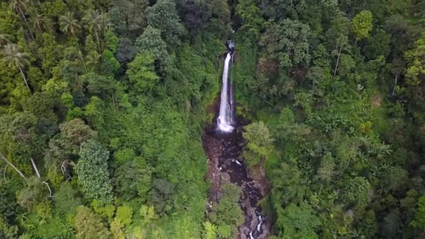 在巴厘岛的 Gitgit 瀑布的鸟瞰图 — 图库视频影像