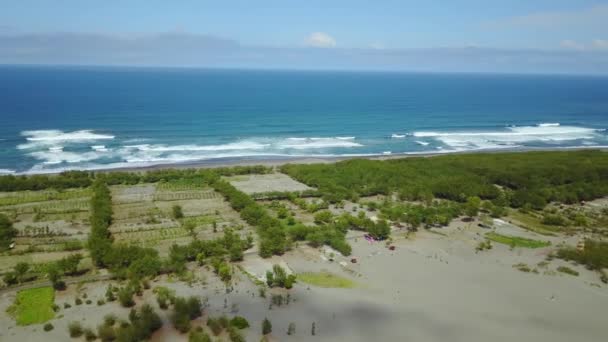 Vista aérea de la costa tropical en Yogyakarta — Vídeos de Stock