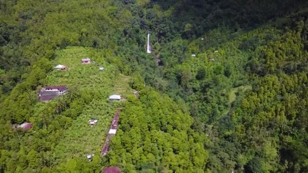 Veduta aerea della foresta tropicale nella cascata di Gitgit — Video Stock