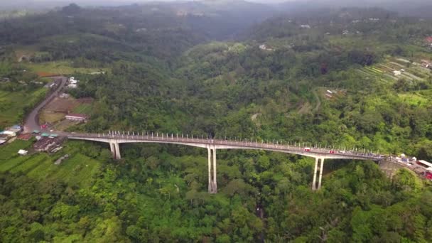 Veduta aerea del ponte Tukad Bangkung a Bali — Video Stock