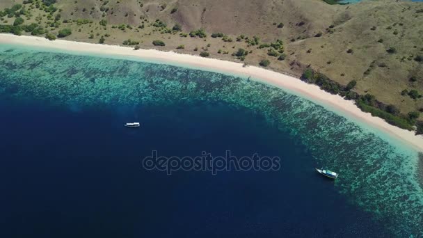 コモド島ピンクビーチの航空写真 — ストック動画