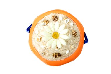 Sahil kumu ve çiçek kova