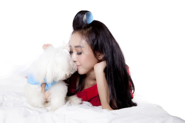 若い女性彼女のマルチーズ犬のキス — ストック写真