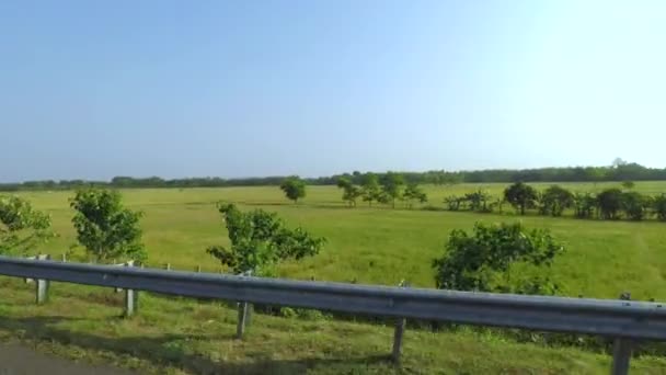 Hermosa vista del campo de arroz cerca de la carretera — Vídeos de Stock