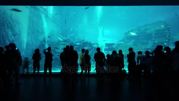 Turistas en Acuario de Mar en Sentosa Island Singapur — Vídeos de Stock