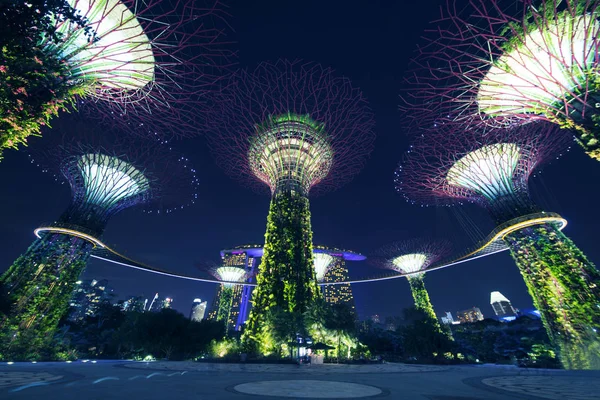 Supertrees Grove avec Skyway à Singapour — Photo