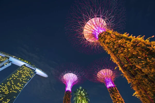 Supertrees Grove in Gardens by the Bay — Stock Photo, Image