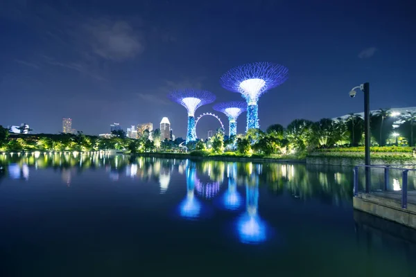 Supertrees Grove et Singapore Flyer — Photo