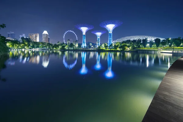 Supertrees en reflectie van de Singapore Flyer — Stockfoto