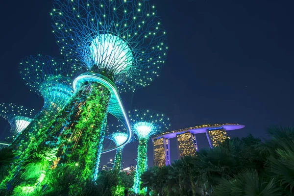 Singapour Supertrees dans Gardens by the Bay — Photo