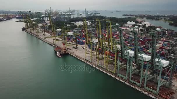 Singapore November 2017 Aerial Landscape Singapore Container Port Row Cranes — Stock Video