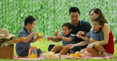Mutlu aile ile birlikte parkta piknik yaparken sabun köpüğü üfleme ikiz çocuk. 4 k çözünürlükte vurdu