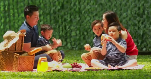 Mutlu Aile Ile Birlikte Parkta Bir Sepet Yemek Çimenlerin Üzerinde — Stok video