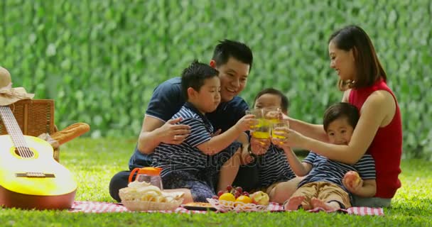 Happy Familie Piknikking Sammen Parken Juble Med Appelsinjuice Briller Mens – stockvideo