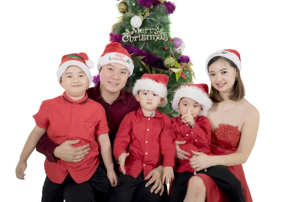 Giovane famiglia con albero di Natale in studio — Foto Stock