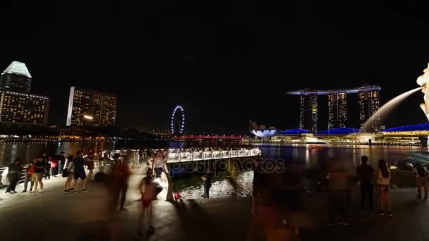 Singapore November 2017 Zeitraffer Aufnahmen Vom Merlion Park Singapore Mit — Stockvideo