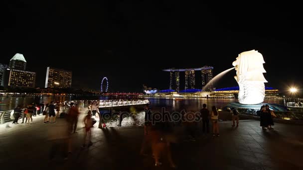 Szingapúr 2017 November Stop Motion Felvételek Merlion Park Szingapúr Este — Stock videók