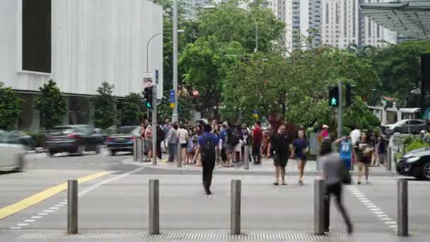 Σιγκαπούρη Νοεμβρίου 2017 Timelapse Πλάνα Από Πολλούς Πεζούς Σταυρό Στη — Αρχείο Βίντεο